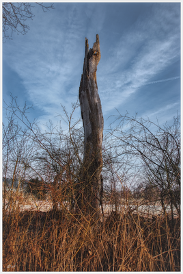 Wie zwei große Finger, die nach dem Himmel greifen