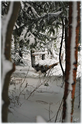 Die Bank im Winterlook