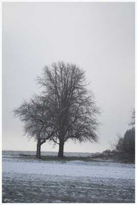 Aufkommender Nebel lässt einen freien Blick auf den Sonnenaufgang heute nicht zu