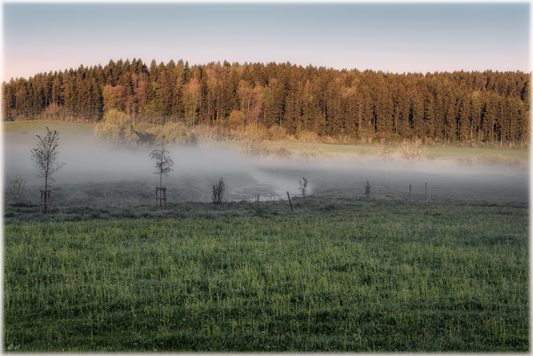 Nebel & Dunst begleiten die Brigach
