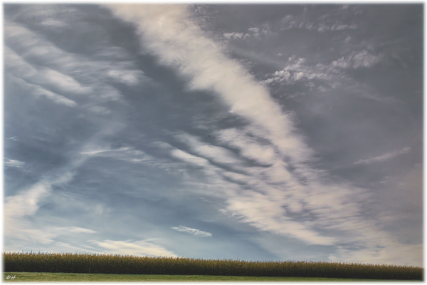 Himmel & Maisfeld