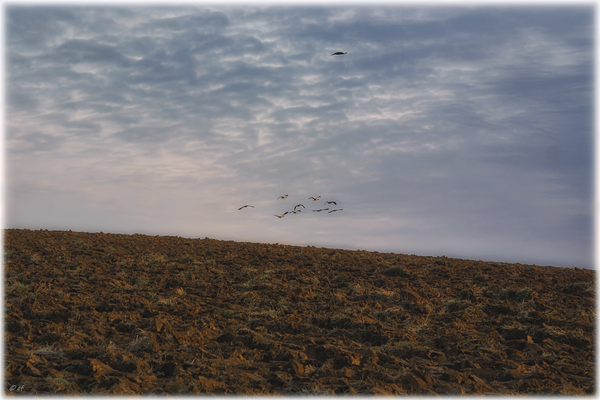 Ein Flug nach Irgendwo