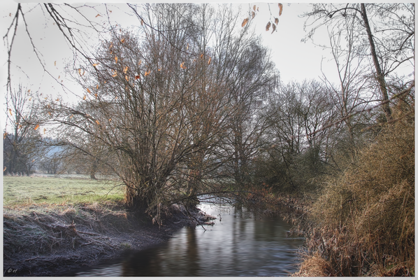 Der Fluss & seine Ufer