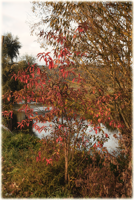 Wenn die Farben durch die Strahlen der Sonne langsam zur Geltung kommen
