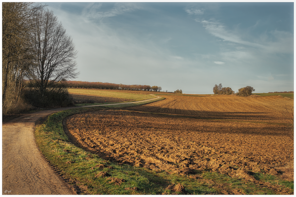 Wege