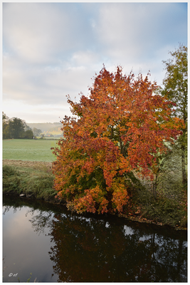 Buntes an der Brigach