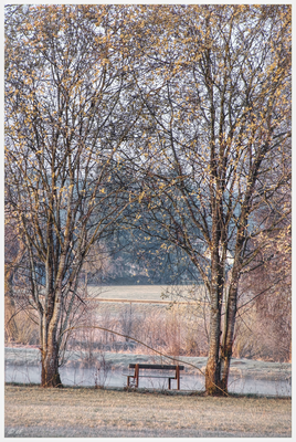 Ein Ruhepol am Weiher