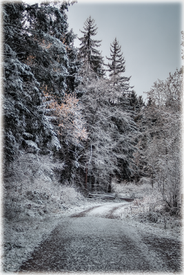 Winterliche Ruhe