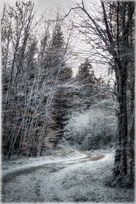 Winterliche Pfade