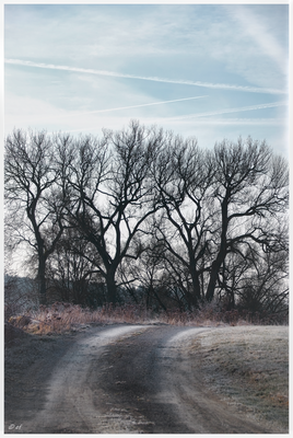 Der Weg