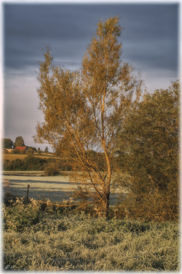 Herbstliche Stille
