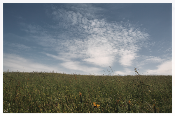 Himmel & Erde