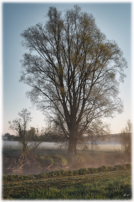 Stiller Morgen
