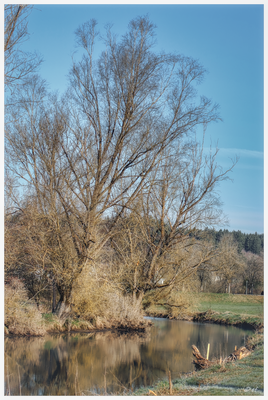 Die Brigach...