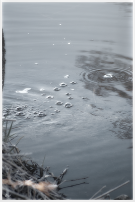 Bubbles
