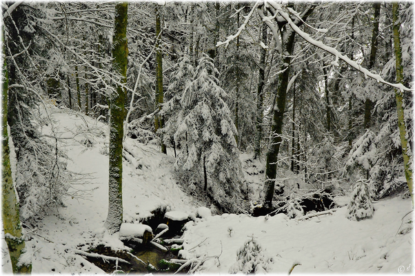 Wenn Wasser in der winterlichen Ruhe durch die Landschaft plätschert