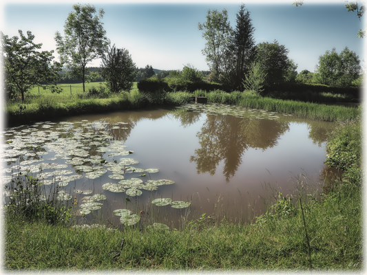 Ein wunderschöner Teich