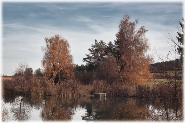 Herbstliche Idylle am Teich
