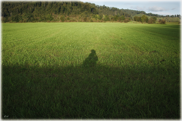 The Photographer