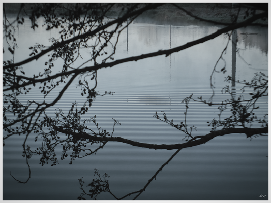 Die Sprache des Wassers