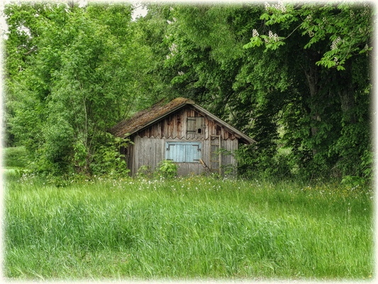 Ein verwunschener Schuppen