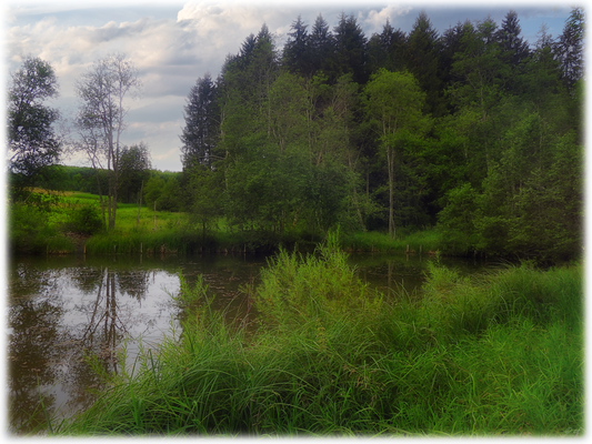 Der angrenzende Teich