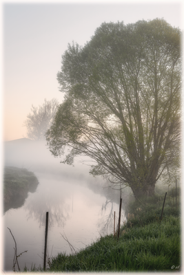 Der Blick auf den Fluss