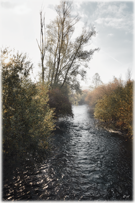 An Beckhofen vorbei fließt die Brigach weiter nach Donaueschingen, wo sie zusammen mit der Breg die Donau zuweg bringt
