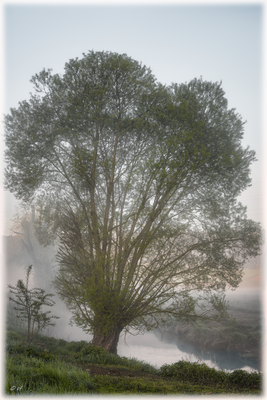 Von Dunst & Nebel umgeben