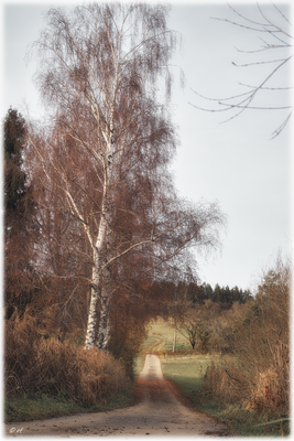 Herbstliche Wege