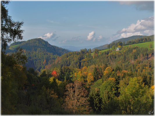 Herbstzauber...