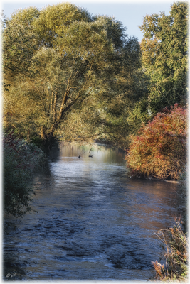 Herbst-Idylle an der Brigach