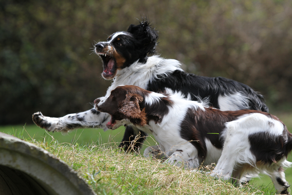 Action mit seiner Schwester Harriet