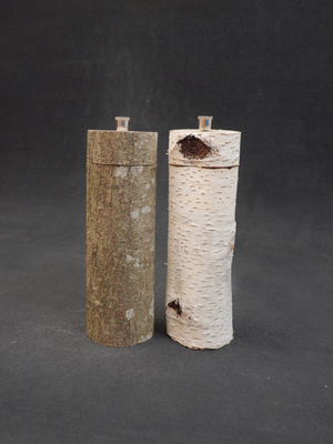P&S/Stahl/+Beschichtung, Buche/Birke, 2 x ca. 6 x 18 cm, als Paar CHF 130.-, Lieferbar