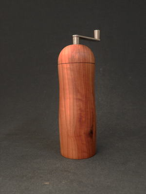 Salz / Stahl (TIN.bes.),   Apfelbaum,   ca. 5,1 x 17,4 cm,   CHF 110.-