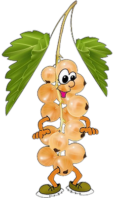 groseille - fruit - alimentation - smiley émoticône émoji cartoon clipart illustration - artémotic