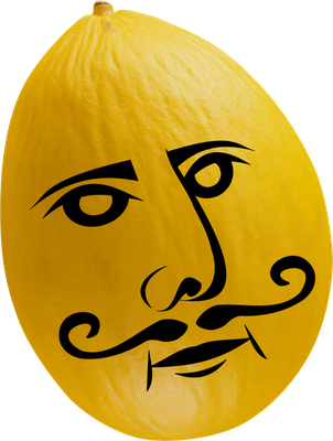 melon - fruit - alimentation - smiley émoticône émoji cartoon clipart illustration - artémotic