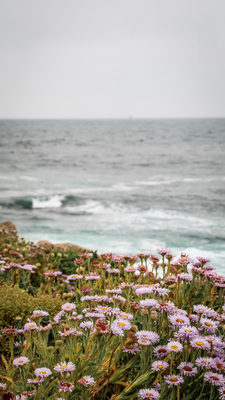 17 Mile Drive, Kalifornien 