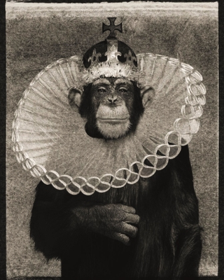 ALBERT WATSON, King Casey, Archivpigmentdruck, 142x107cm