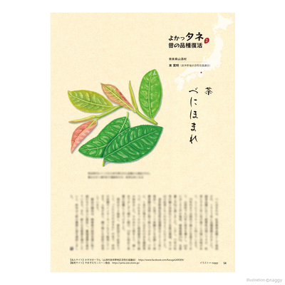 「季刊地域」65号・2026春号
