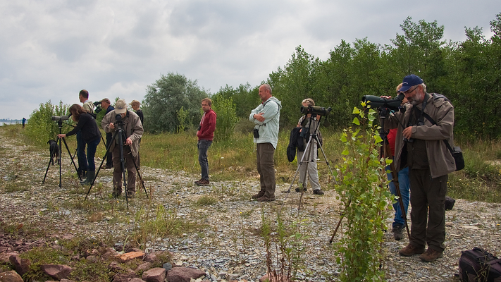 Mitglieder der Fachgruppe Ornithologie und Vogelschutz des NABU Regionalverbands Parchim während einer Exkursion Foto: Udo Steinhäuser 2014, Geiseltal (Sachsen-Anhalt)