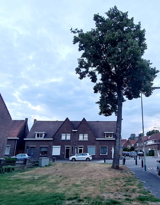 OMLOOP NELISSEN - De website van Stichting Wielerbaan Geleen!