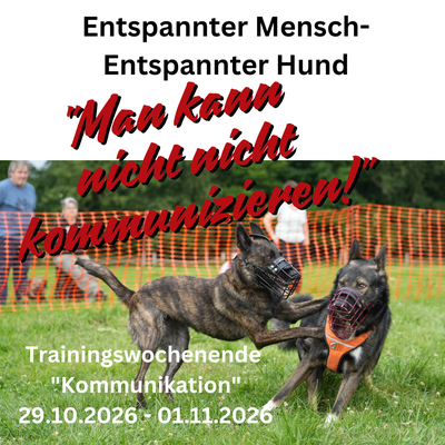 MEHRTAGESSEMINAR - FREIE TEILNEHMERPLÄTZE