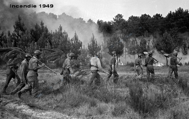 incendies landes 1949