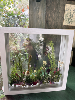 2月advance clsass/ボタニカルフレーム