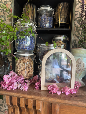 5月advance class/ボタニカルフレーム