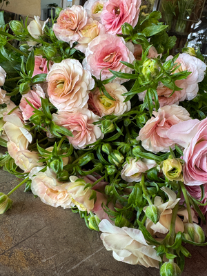 1月flower lesson春花のいけこみ