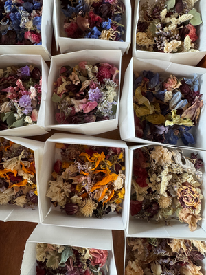 2月advance clsass/ボタニカルフレーム