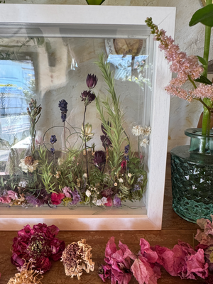 2月advance clsass/ボタニカルフレーム