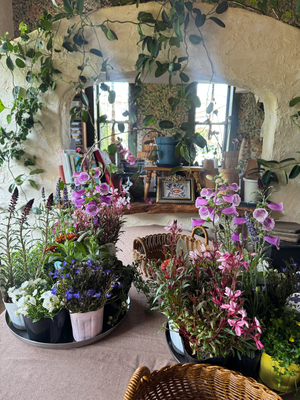 5月flower lesson/Garden Basket